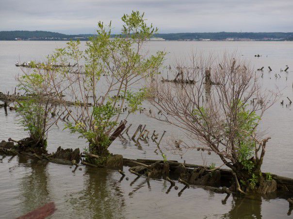 Mallows Bay vessels, Potomac River